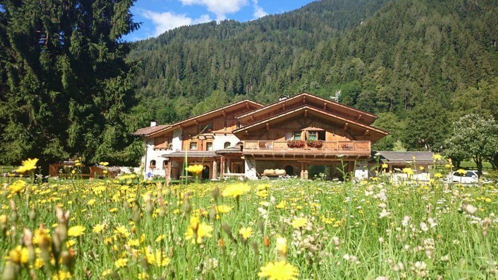 Hotel Maso Del Brenta Caderzone Luaran gambar